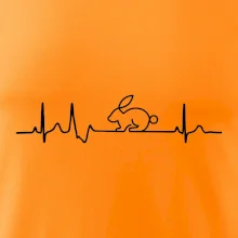 EKG králik EKG králik