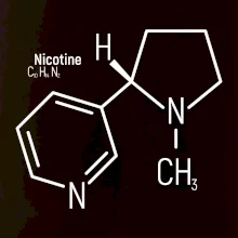 Molekulárna štruktúra Nikotín