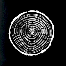 Letokruhy 20 bez veku