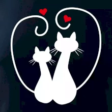 Mačky - Zamilovaný pár Mačky - Zamilovaný pár