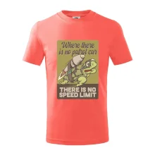 Korytnačka na cestách