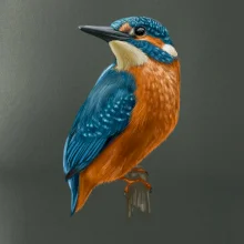 Ľadnáčik kreslený