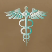 Hrdinovia zdravotníctva - logo (Pecka design)