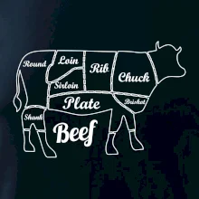 Krava nákres rozrezanie Anglicky Krava nákres rozrezanie Anglicky