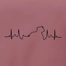 Stafordšírsky bulteriér ‎ EKG