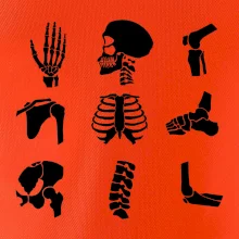 Röntgen - ikony Röntgen - ikony