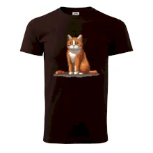 Mačka hrdzavá Mačka hrdzavá