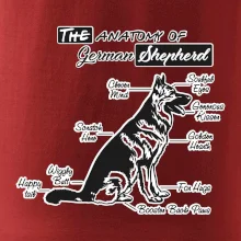 Nemecký ovčiak - Anatómia