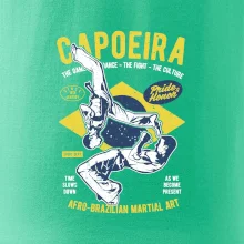 Capoeira  Afro-brazil art