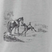 Kôň a žriebä maľované