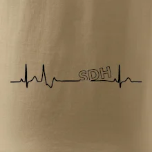 SDH EKG SDH EKG