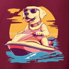 Zlatý retriever na vodnom skútri