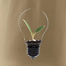 Žiarovka kvetináč