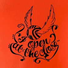 Harry - Zlatá strela