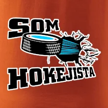 Som hokejista