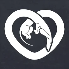 Jazvečík srdca - plný