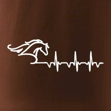 Hlava koňa EKG