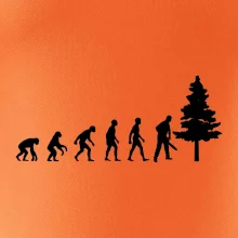 Evolúcia drevorubač - píla a strom Evolúcia drevorubač - píla a strom