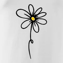 Kopretina - dole na výšku