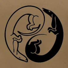 Jazvečíky - Jin jang