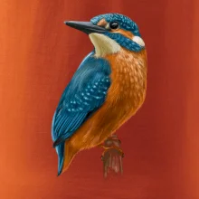 Ľadnáčik kreslený