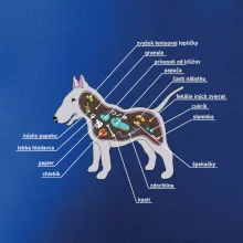 Tajomstvo bulteriéra s popisom (Pecka Design)