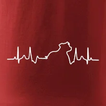 Stafordšírsky bulteriér ‎ EKG