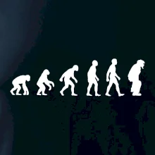 Evolúcia baseball chytač