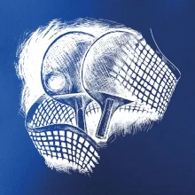 Ping pong rakety a sieť Ping pong rakety a sieť