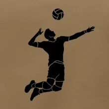 Volejbal náprah muž