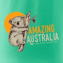 Amazing Australia koala Amazing Australia koala