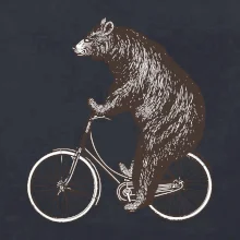 Medveď na bicykli