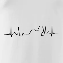 Shih-tzu ekg obrys Shih-tzu ekg obrys