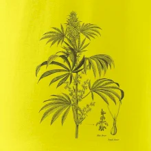 Konope kvietok čiernobiely  