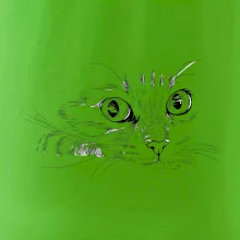 Mačka tvár kresba Mačka tvár kresba