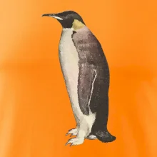 Tučniak kreslený vodovými farbami Tučniak kreslený vodovými farbami