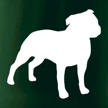 Americký stafordšírsky teriér Na prsníku