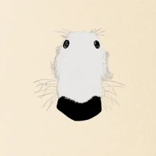 Barzoj čumák (Moňas)