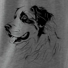 Bernský salašnícky pes čierna kresba