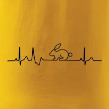 EKG králik EKG králik