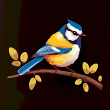 Sýkorka modrinka kreslená