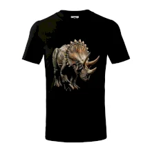 Triceratops z boku čierna fotka