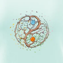 Yin & Yang strom - zima, leto