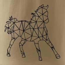 Geometria - kôň Geometria - kôň