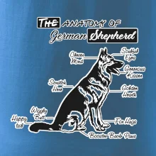 Nemecký ovčiak - Anatómia