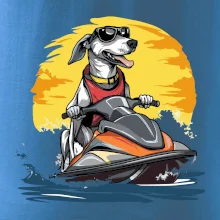 Chrt na vodnom skútri