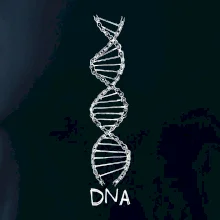 Cyklistovo DNA