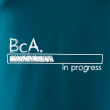 In progress titul BcA. bakalár / bakalárka umenia