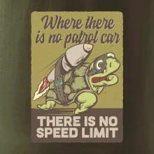 Korytnačka na cestách