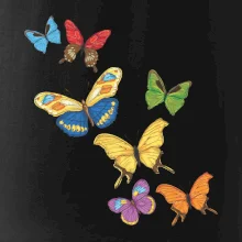 Farebné motýle Farebné motýle